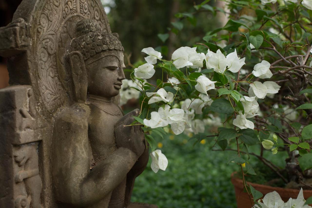 Somatheeram Ayurveda Village Kovalam Exterior photo